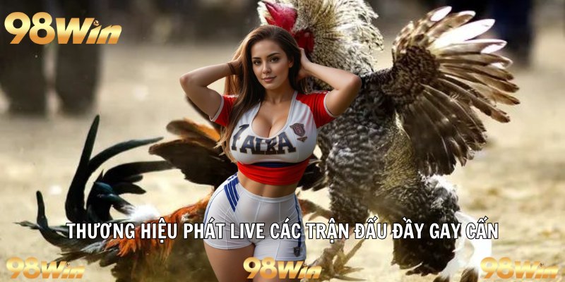 Thương hiệu phát live các trận đấu đầy gay cấn