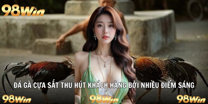 Đá gà cựa sắt thu hút khách hàng bởi nhiều điểm sáng